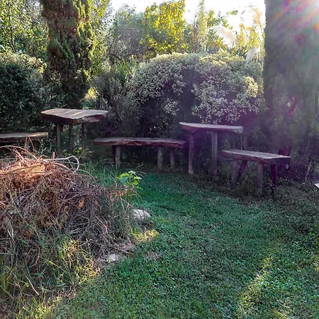 Olivo By Interhome アパート Arnasco