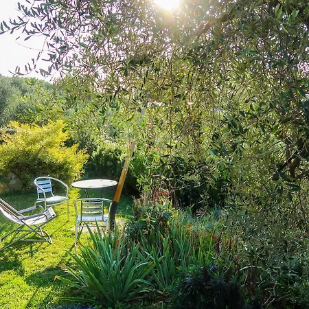 Апартаменты Olivo By Interhome Arnasco